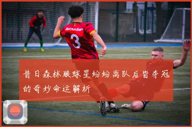 昔日森林狼球星纷纷离队后皆夺冠的奇妙命运解析